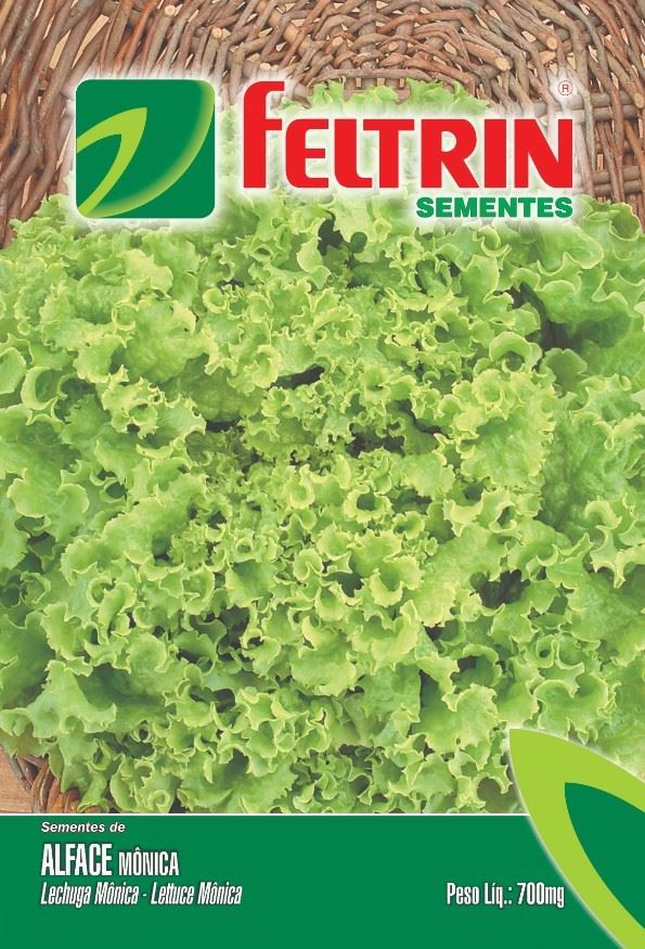 Sementes Feltrin – Alface Mônica