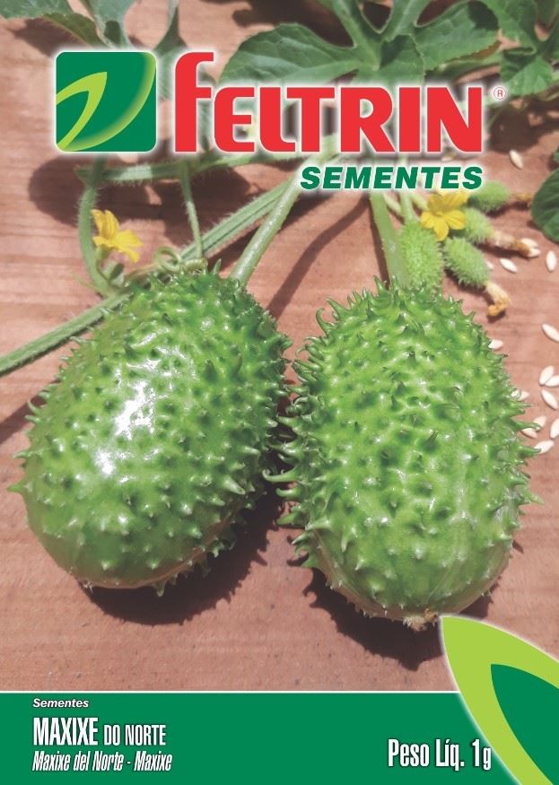 Sementes Feltrin – Maxixe do Norte