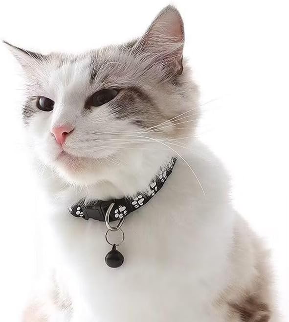 Coleira de Segurança para Gatos – Ajustável e Confortável