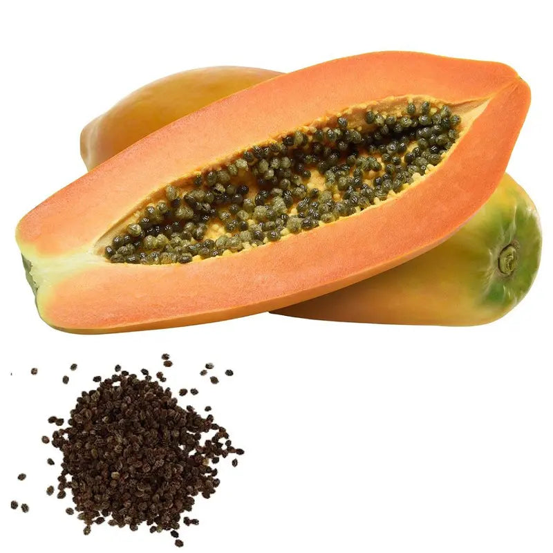 Sementes Feltrin – Mamão Famosa