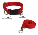 Coleira de Segurança para Cachorros – Ajustável, Confortável e Durável