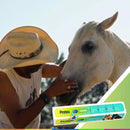 Probio Nutri Equinos – Probiótico e Prebiótico para Cavalos