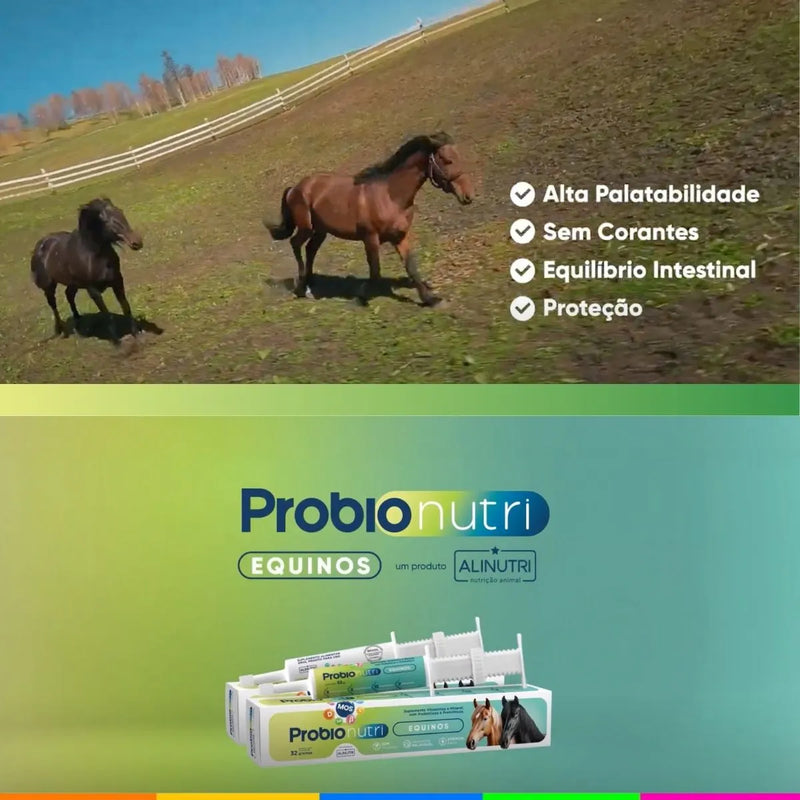 Probio Nutri Equinos – Probiótico e Prebiótico para Cavalos