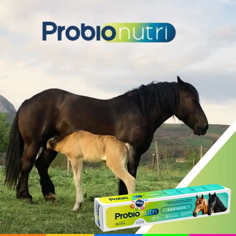 Probio Nutri Equinos – Probiótico e Prebiótico para Cavalos