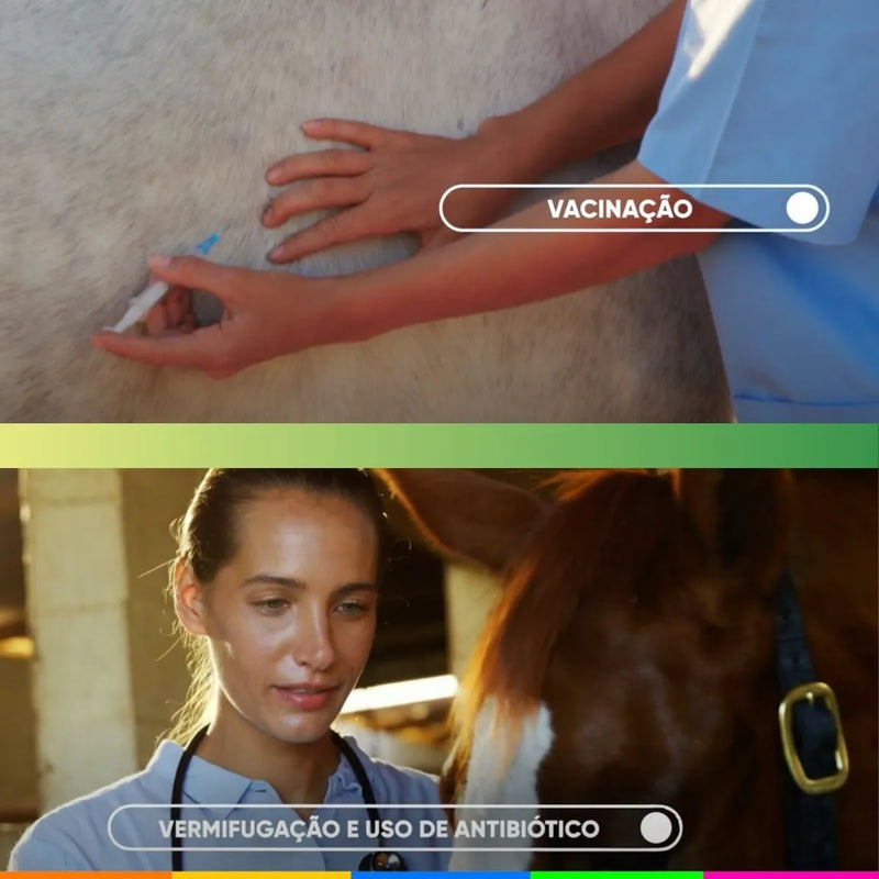 Probio Nutri Equinos – Probiótico e Prebiótico para Cavalos