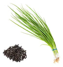 Sementes Feltrin – Cebolinha