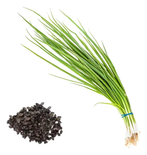 Sementes Feltrin – Cebolinha