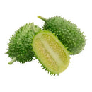 Sementes Feltrin – Maxixe do Norte