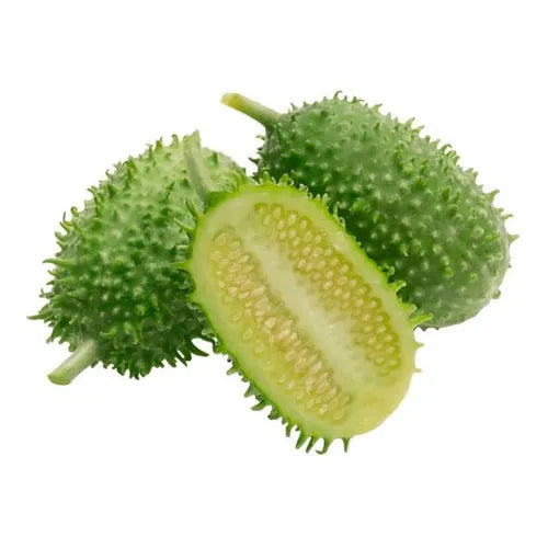 Sementes Feltrin – Maxixe do Norte