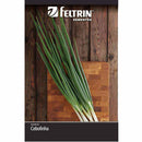 Sementes Feltrin – Cebolinha