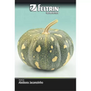 Sementes Feltrin – Abóbora Xingó