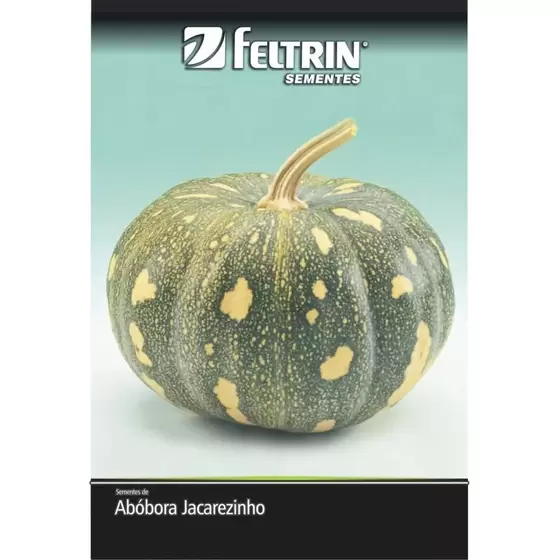Sementes Feltrin – Abóbora Xingó